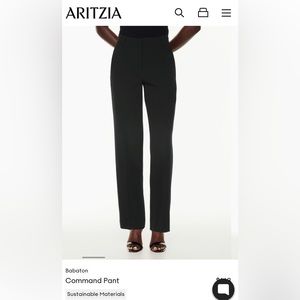 Aritzia Navy Command Pant